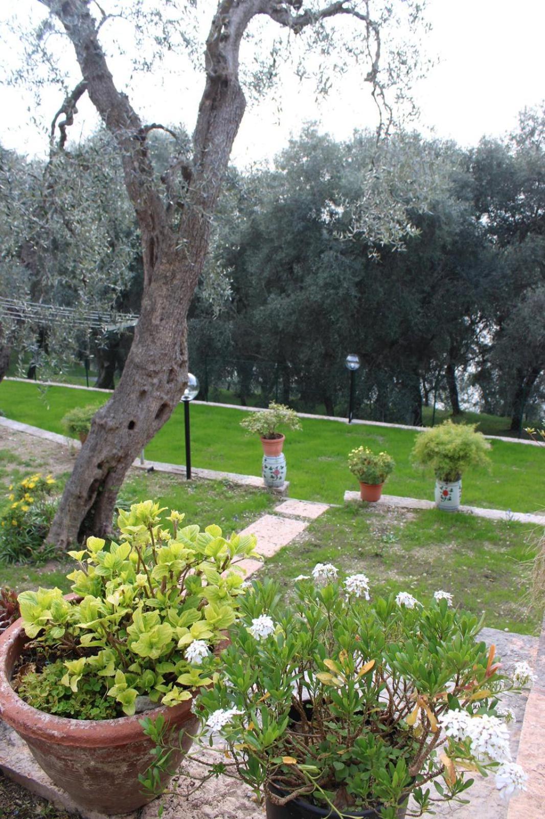 Casa Antony Daire Torri Del Benaco Dış mekan fotoğraf